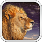 Lion sauvage Fond d'écran HD icône