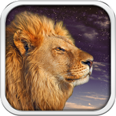 Lion sauvage Fond d&#39;écran HD icon