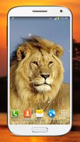 Wild Lion Live Wallpaper HD screenshot 3