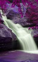 Wild Waterfalls Live Wallpaper 스크린샷 2