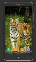 Animals Wallpapers پوسٹر