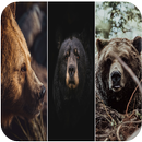 Wallpaper for Bear APK