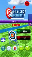 Real Archery 3d Game Plakat