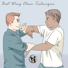 Meilleur guide de formation Wing Chun icône