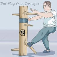 Meilleur guide de formation Wing Chun capture d'écran 1