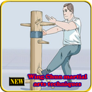 Techniques d'arts martiaux de Wing Chun APK