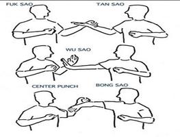 Wing Chun Martial Arts Techniques স্ক্রিনশট 2