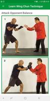 Learn Wing Chun capture d'écran 2