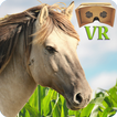 VR Horse Ride