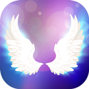 Wings for Photos APK