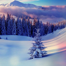 Winter wallpapers. APK