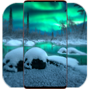 Winter Night Wallpaper-APK