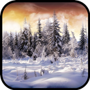 Winter Wallpaper APK