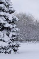 Winter Wallpapers screenshot 1