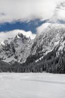 Winter Wallpapers screenshot 3