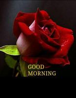 Good Morning Wishes gönderen
