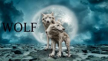 music relax wolf 2022 পোস্টার