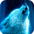 Wolf Wallpaper HD APK