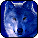 Wolf Wallpaper APK