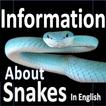 Types Of Snakes - Snake Specie