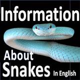 Types Of Snakes - Snake Specie icône