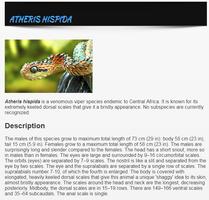 Types Of Snakes - Snake Specie screenshot 1