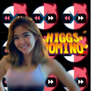 APK X8 Higgs Domino Guide Sandbox