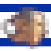 Can You Bribe Bibi?! APK