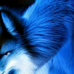 Bad Fox icon