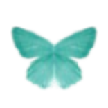 Saberes de vida para dar vida