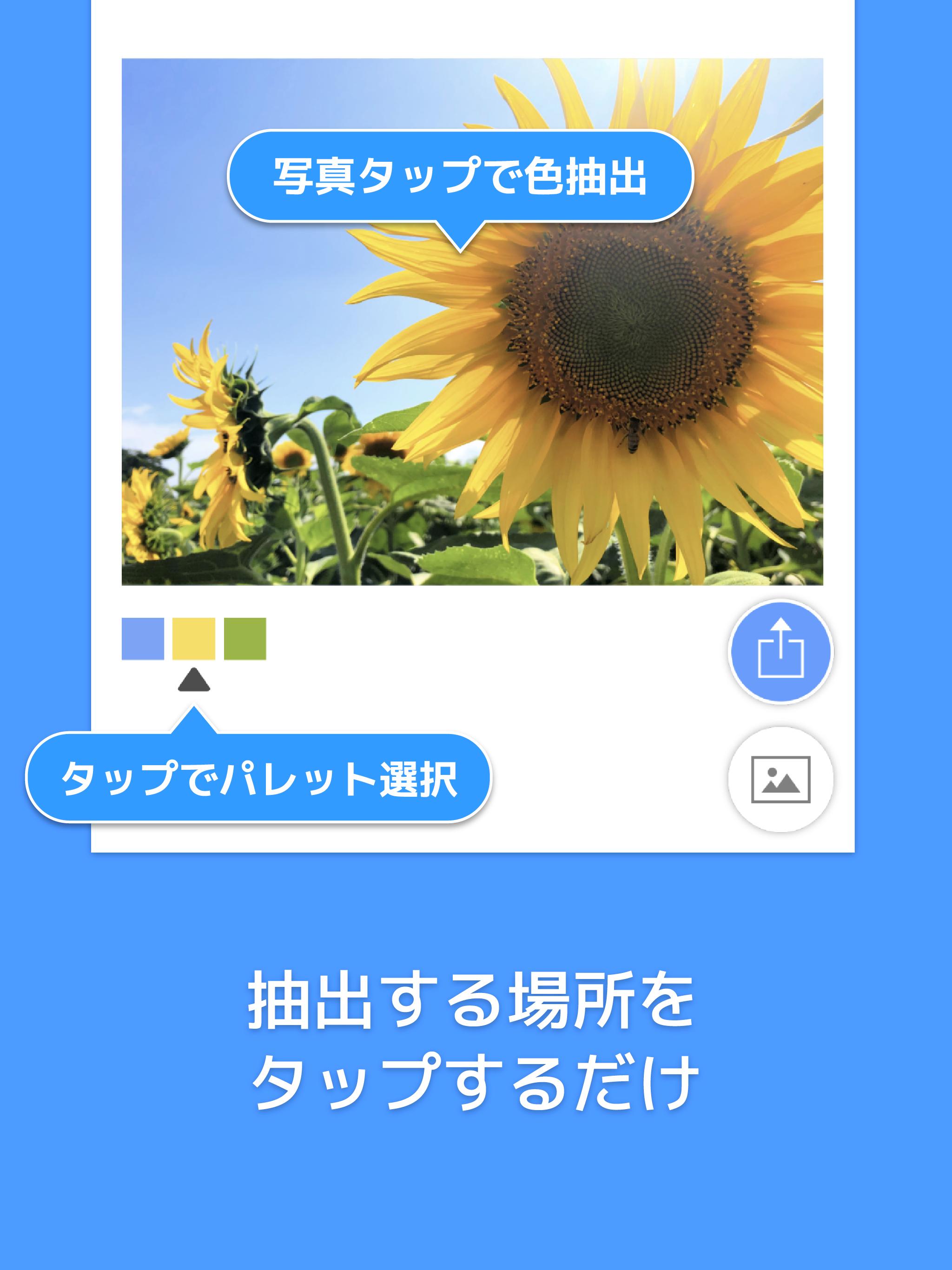 Picolor 色を抽出できる写真加工アプリ For Android Apk Download Picolor 色を抽出できる写真加工アプリ For Android Apk Download