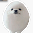 Eggdog Clicker APK
