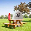 Eggdog in the Park APK