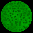 Microscope Virtual Cells Sim 图标