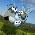 Flies, fly away!