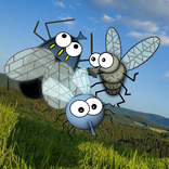 Flies, fly away!