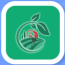 Happy Ranch Penghasil Uang Tip APK