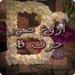 أروع صور حرف B