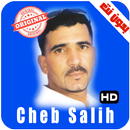اغاني الشاب صاليح بدون انترنت - Cheb Salih APK
