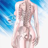 AR Female Anatomy Free আইকন