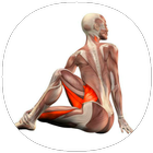 Yoga Anatomy-icoon