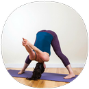 Yoga Declined Poses Guide APK