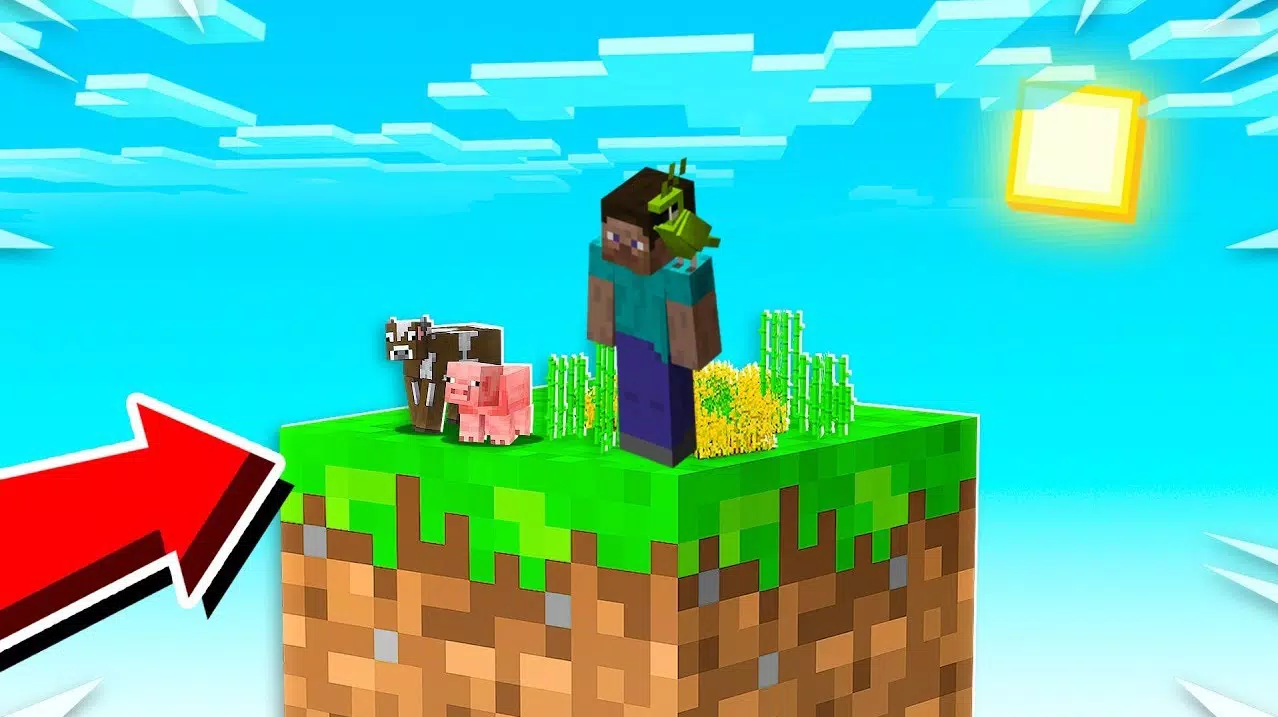 One Block Survival Skyblock Map For Minecraft Pe Apk For Android Download