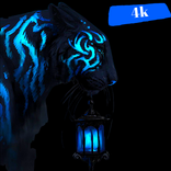 Amoled Wallpaper 2025