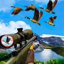 Ultimate Duck Hunting 2020 : W aplikacja