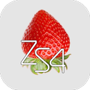 ZS4 Video Editor & Maker APK