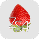 APK ZS4 Video Editor & Maker