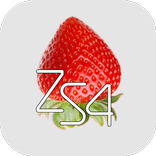 ZS4 Video Editor & Maker