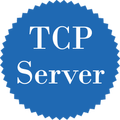 TCP Async Server