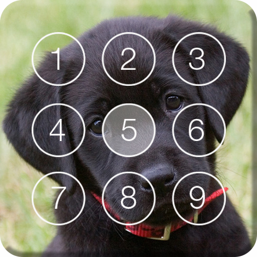 Cute Black Labrador Puppies Screen Lock